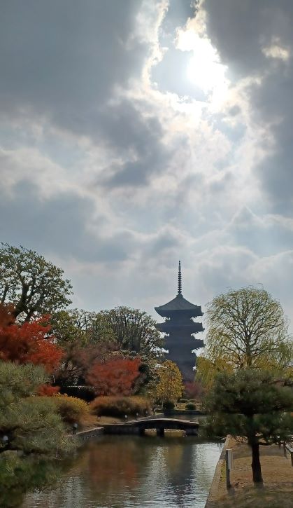 12月　東寺